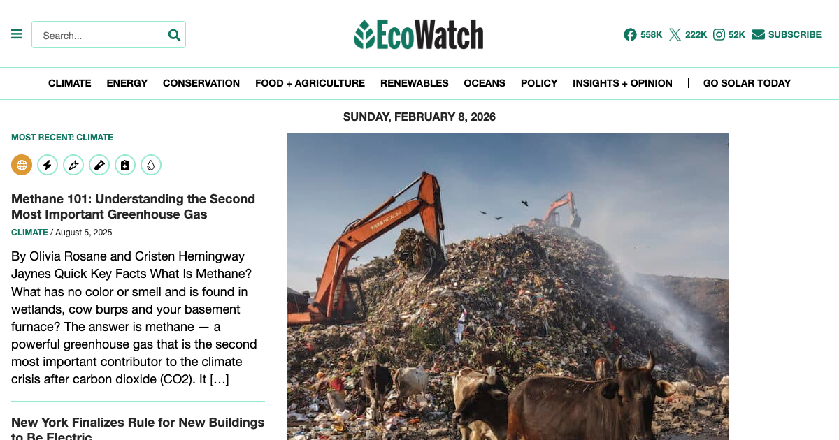 EcoWatch