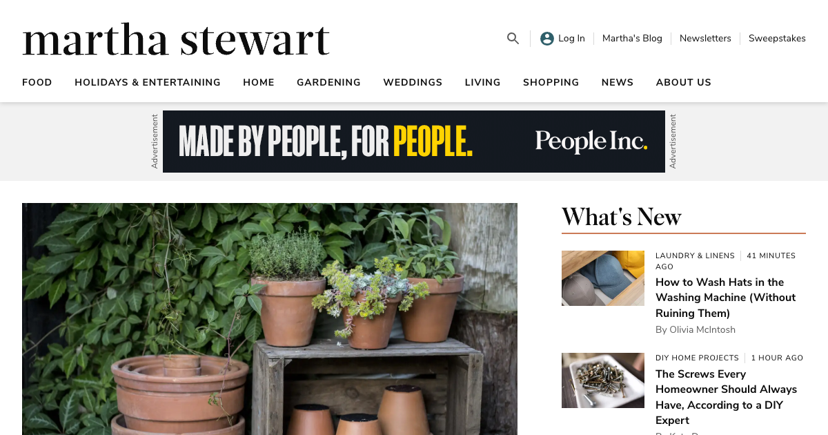 Martha Stewart (The Daily)