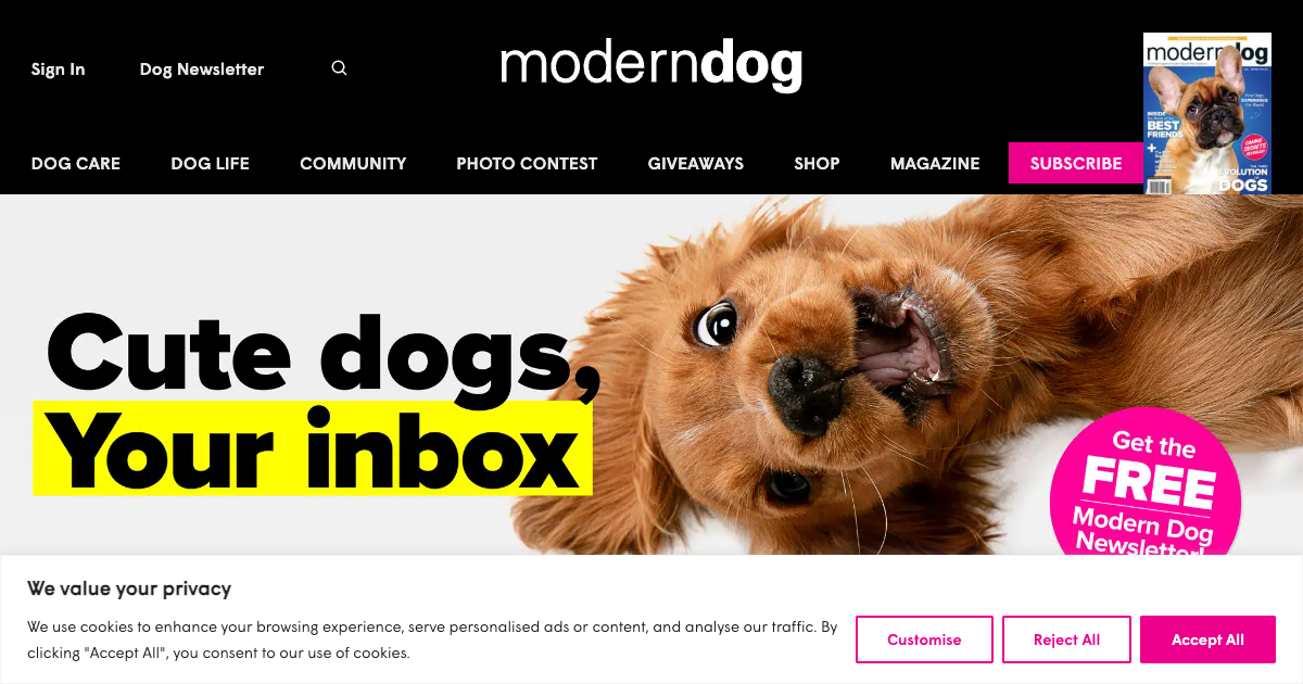 Modern Dog