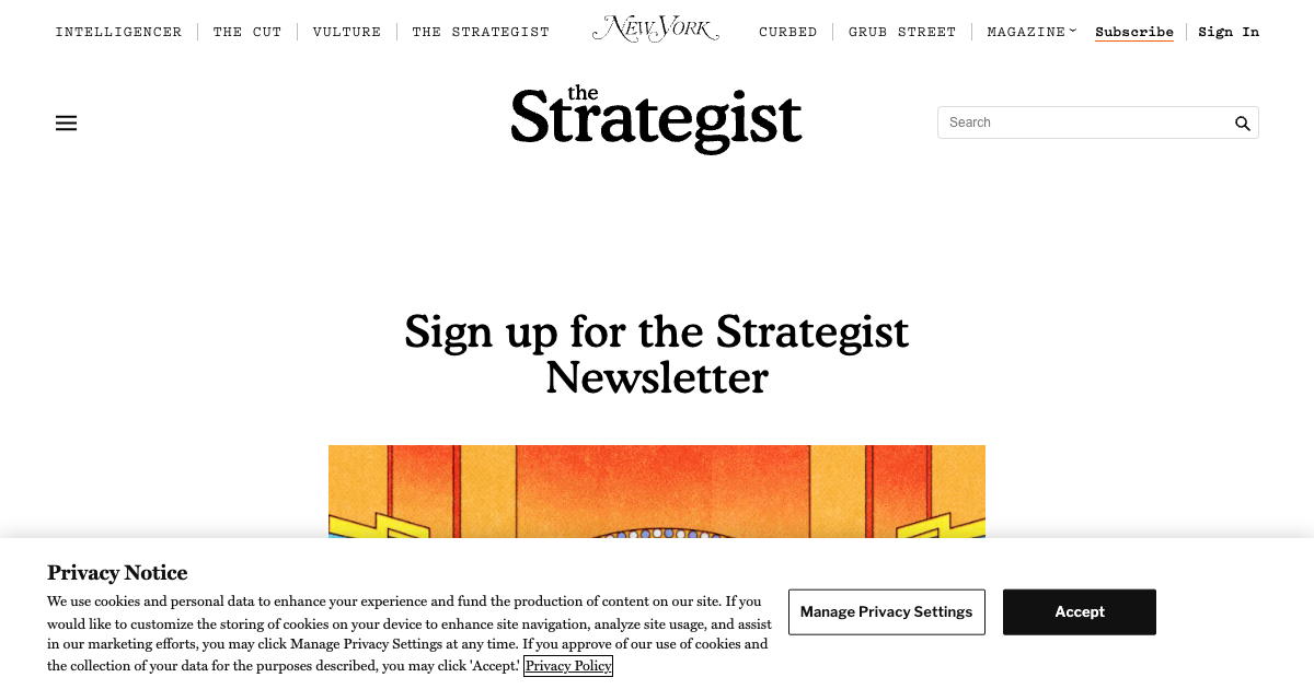 The Strategist (NYMag)